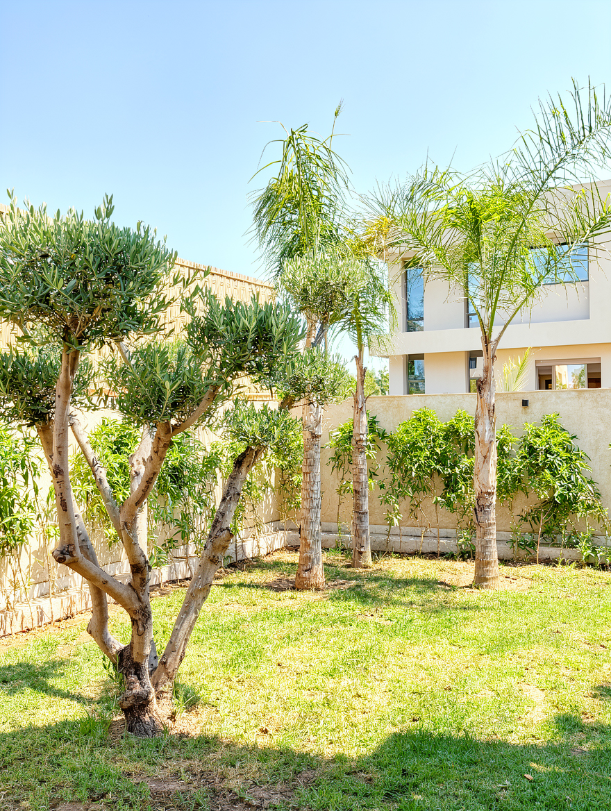Villa Solana — photo 5